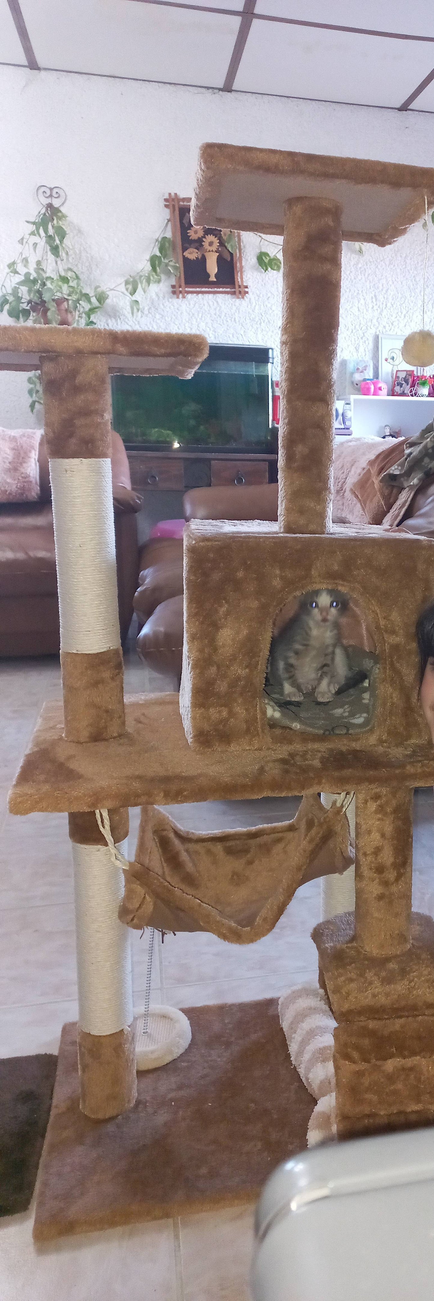 Rascador Para Gatos Torre Tres Pisos