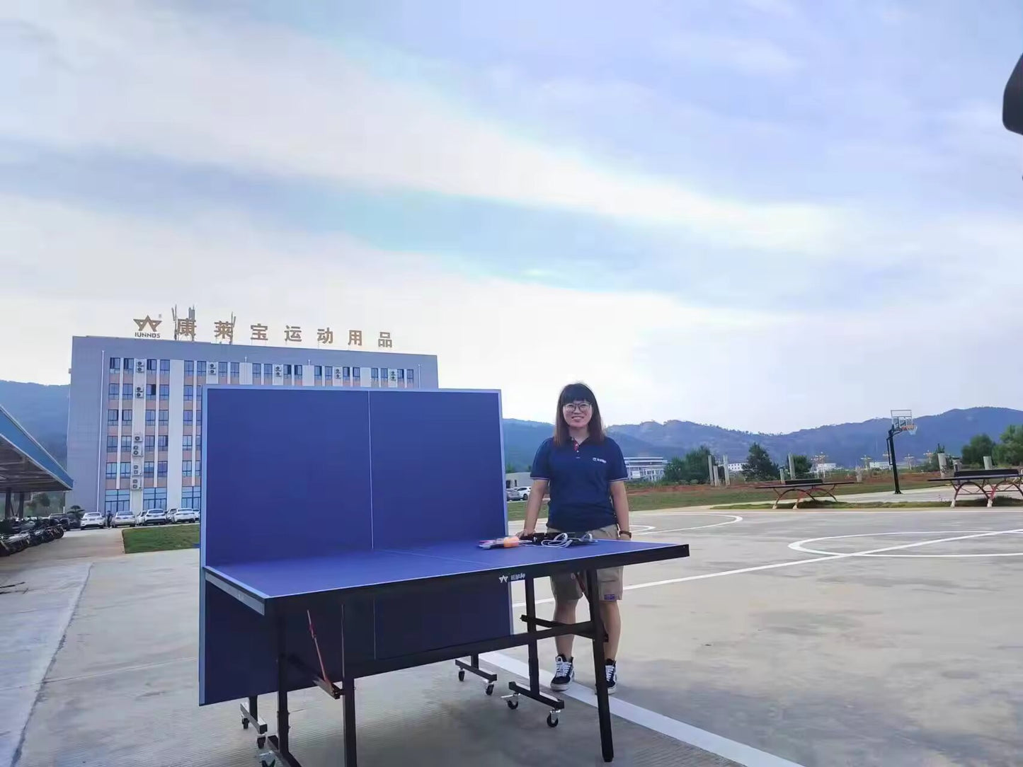 Mesa de Ping Pong Profesional